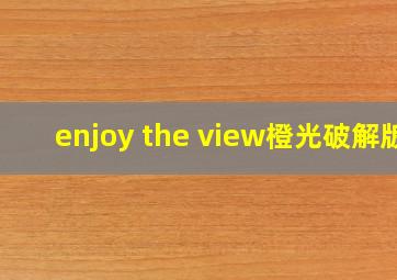 enjoy the view橙光破解版